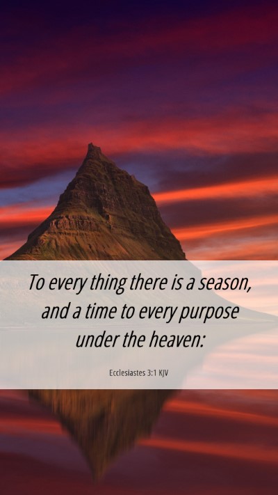 Picture 06 - Ecclesiastes 3:1 KJV Mobile Phone Wallpaper - To every thing there is a season, and a time to - Mobile Bible Verse Wallpaper