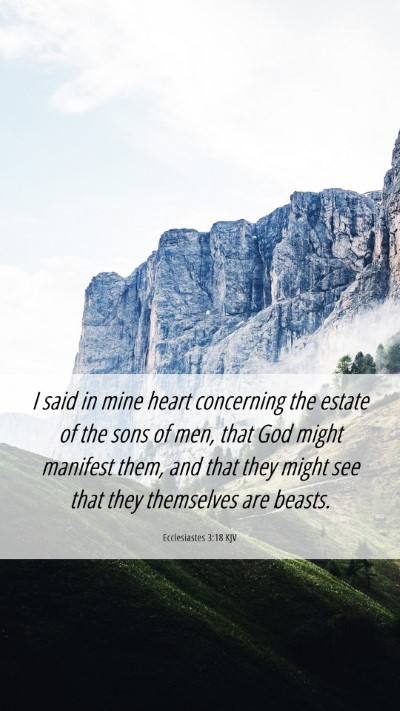 Picture 06 - Ecclesiastes 3:18 KJV Mobile Phone Wallpaper - I said in mine heart concerning the estate of the - Mobile Bible Verse Wallpaper