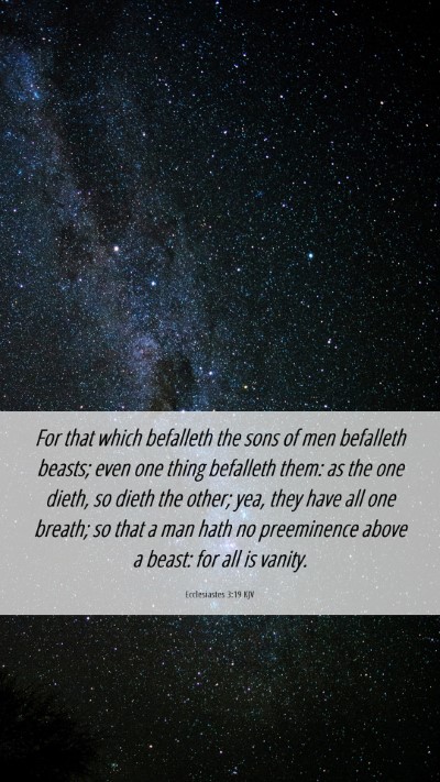 Picture 06 - Ecclesiastes 3:19 KJV Mobile Phone Wallpaper - For that which befalleth the sons of men - Mobile Bible Verse Wallpaper