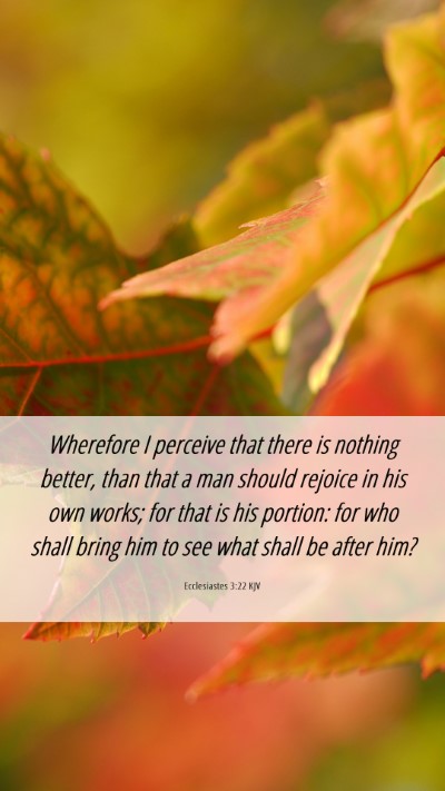 Picture 06 - Ecclesiastes 3:22 KJV Mobile Phone Wallpaper - Wherefore I perceive that there is nothing - Mobile Bible Verse Wallpaper