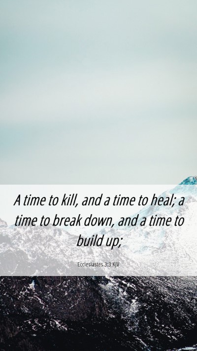 Picture 06 - Ecclesiastes 3:3 KJV Mobile Phone Wallpaper - A time to kill, and a time to heal; a time to - Mobile Bible Verse Wallpaper
