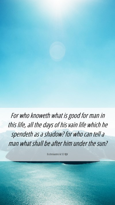 Picture 06 - Ecclesiastes 6:12 KJV Mobile Phone Wallpaper - For who knoweth what is good for man in this - Mobile Bible Verse Wallpaper