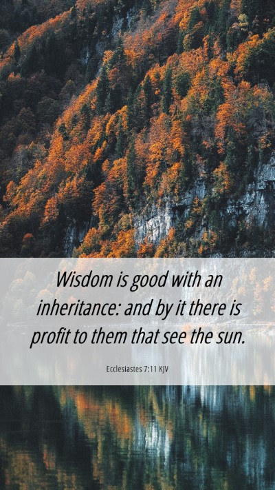 Picture 06 - Ecclesiastes 7:11 KJV Mobile Phone Wallpaper - Wisdom is good with an inheritance: and by it - Mobile Bible Verse Wallpaper