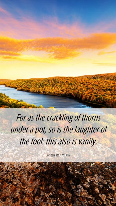 Picture 06 - Ecclesiastes 7:6 KJV Mobile Phone Wallpaper - For as the crackling of thorns under a pot, so is - Mobile Bible Verse Wallpaper
