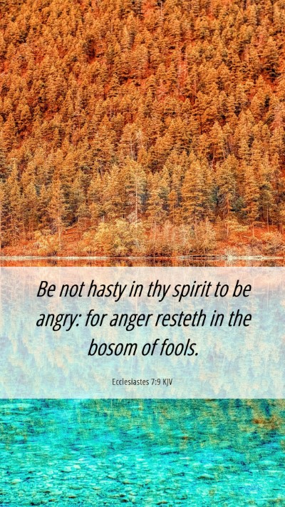 Picture 06 - Ecclesiastes 7:9 KJV Mobile Phone Wallpaper - Be not hasty in thy spirit to be angry: for anger - Mobile Bible Verse Wallpaper