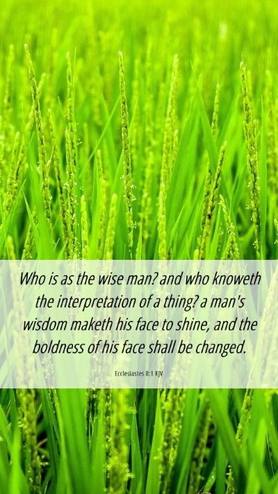 Picture 06 - Ecclesiastes 8:1 KJV Mobile Phone Wallpaper - Who is as the wise man? and who knoweth the - Mobile Bible Verse Wallpaper