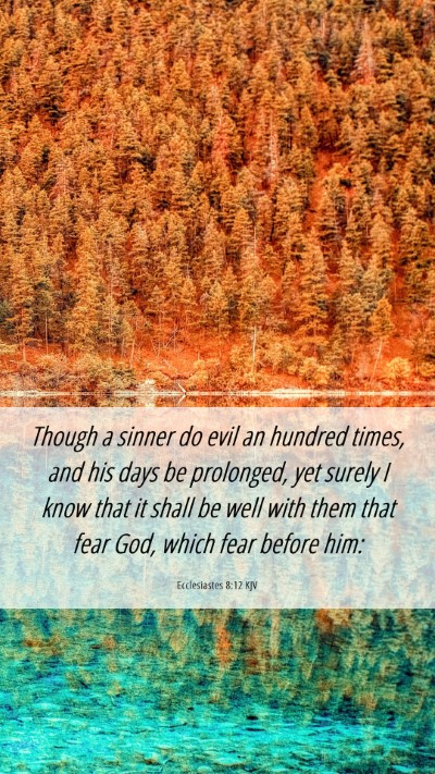 Picture 06 - Ecclesiastes 8:12 KJV Mobile Phone Wallpaper - Though a sinner do evil an hundred times, and his - Mobile Bible Verse Wallpaper