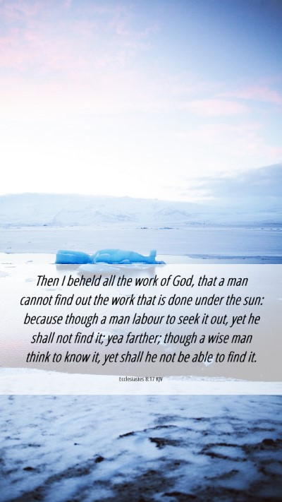 Picture 06 - Ecclesiastes 8:17 KJV Mobile Phone Wallpaper - Then I beheld all the work of God, that a man - Mobile Bible Verse Wallpaper