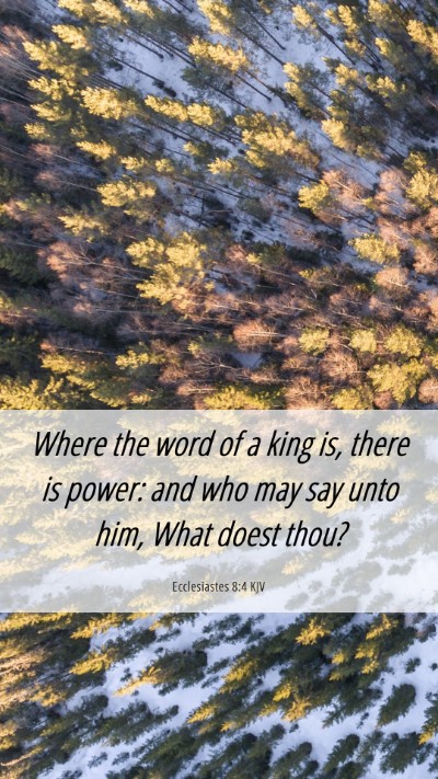 Picture 06 - Ecclesiastes 8:4 KJV Mobile Phone Wallpaper - Where the word of a king is, there is power: and - Mobile Bible Verse Wallpaper