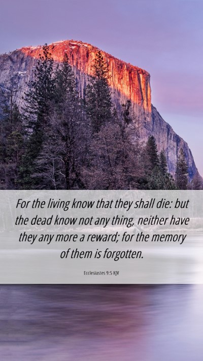Picture 06 - Ecclesiastes 9:5 KJV Mobile Phone Wallpaper - For the living know that they shall die: but the - Mobile Bible Verse Wallpaper