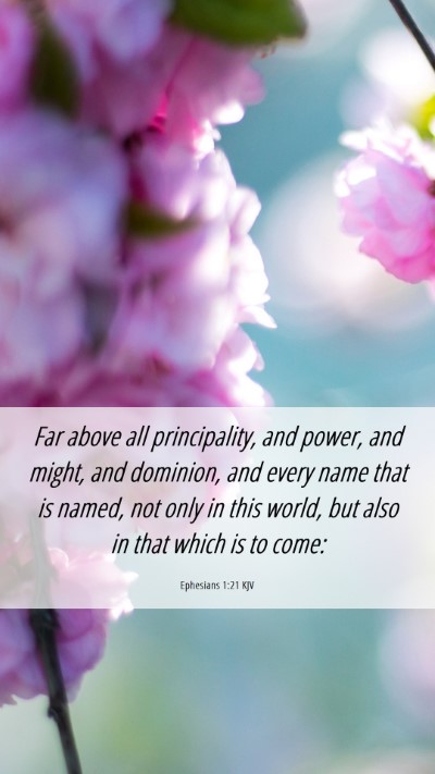 Picture 06 - Ephesians 1:21 KJV Mobile Phone Wallpaper - Far above all principality, and power, and might, - Mobile Bible Verse Wallpaper