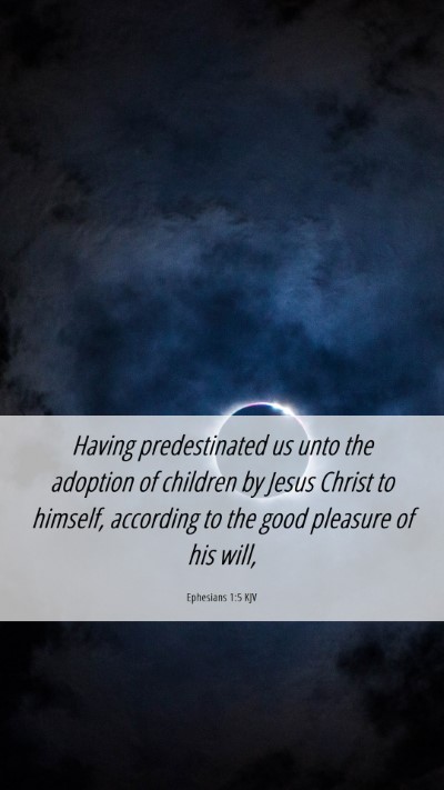 Picture 06 - Ephesians 1:5 KJV Mobile Phone Wallpaper - Having predestinated us unto the adoption of - Mobile Bible Verse Wallpaper