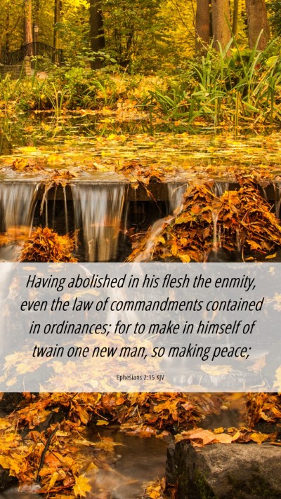 Picture 06 - Ephesians 2:15 KJV Mobile Phone Wallpaper - Having abolished in his flesh the enmity, even - Mobile Bible Verse Wallpaper