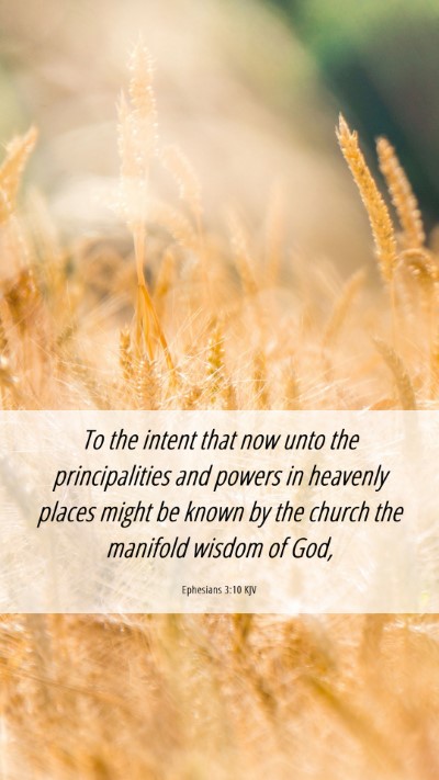 Picture 06 - Ephesians 3:10 KJV Mobile Phone Wallpaper - To the intent that now unto the principalities - Mobile Bible Verse Wallpaper