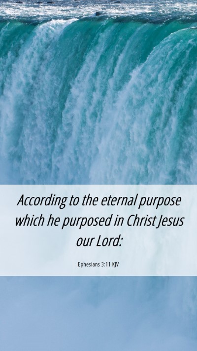 Picture 06 - Ephesians 3:11 KJV Mobile Phone Wallpaper - According to the eternal purpose which he - Mobile Bible Verse Wallpaper