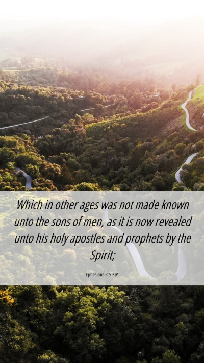 Picture 06 - Ephesians 3:5 KJV Mobile Phone Wallpaper - Which in other ages was not made known unto the - Mobile Bible Verse Wallpaper