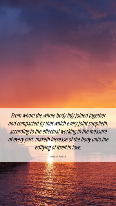 Picture 06 - Ephesians 4:16 KJV Mobile Phone Wallpaper - From whom the whole body fitly joined together - Mobile Bible Verse Wallpaper