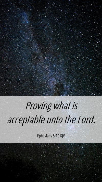 Picture 06 - Ephesians 5:10 KJV Mobile Phone Wallpaper - Proving what is acceptable unto the - Mobile Bible Verse Wallpaper