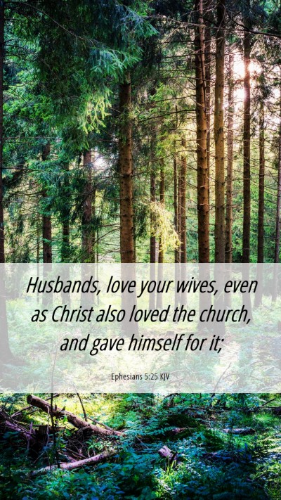 Picture 06 - Ephesians 5:25 KJV Mobile Phone Wallpaper - Husbands, love your wives, even as Christ also - Mobile Bible Verse Wallpaper