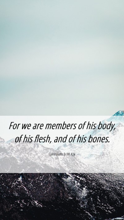 Picture 06 - Ephesians 5:30 KJV Mobile Phone Wallpaper - For we are members of his body, of his flesh, and - Mobile Bible Verse Wallpaper