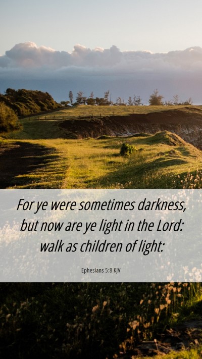 Picture 06 - Ephesians 5:8 KJV Mobile Phone Wallpaper - For ye were sometimes darkness, but now are ye - Mobile Bible Verse Wallpaper