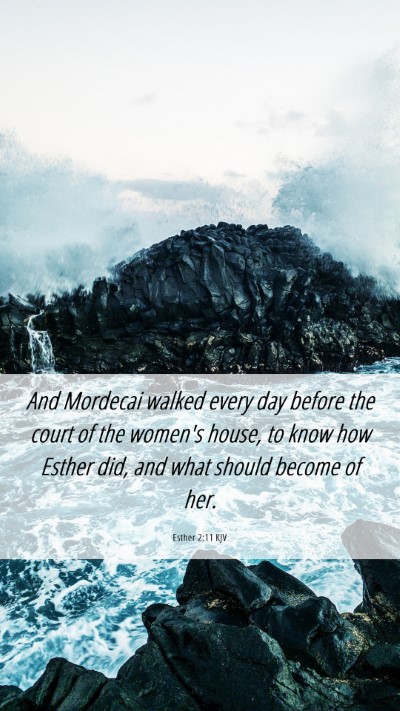 Picture 06 - Esther 2:11 KJV Mobile Phone Wallpaper - And Mordecai walked every day before the court of - Mobile Bible Verse Wallpaper
