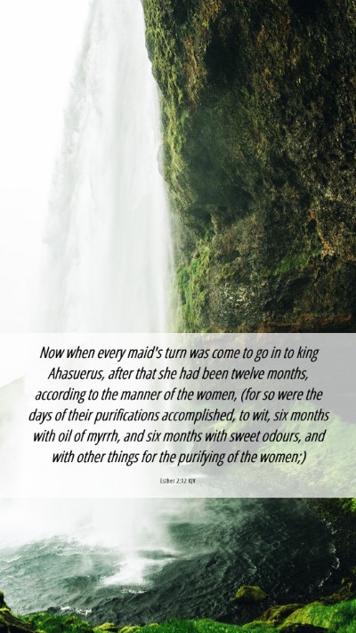 Picture 06 - Esther 2:12 KJV Mobile Phone Wallpaper - Now when every maid's turn was come to go in to - Mobile Bible Verse Wallpaper