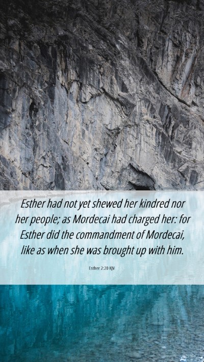 Picture 06 - Esther 2:20 KJV Mobile Phone Wallpaper - Esther had not yet shewed her kindred nor her - Mobile Bible Verse Wallpaper