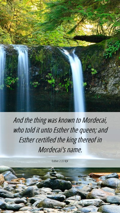 Picture 06 - Esther 2:22 KJV Mobile Phone Wallpaper - And the thing was known to Mordecai, who told it - Mobile Bible Verse Wallpaper