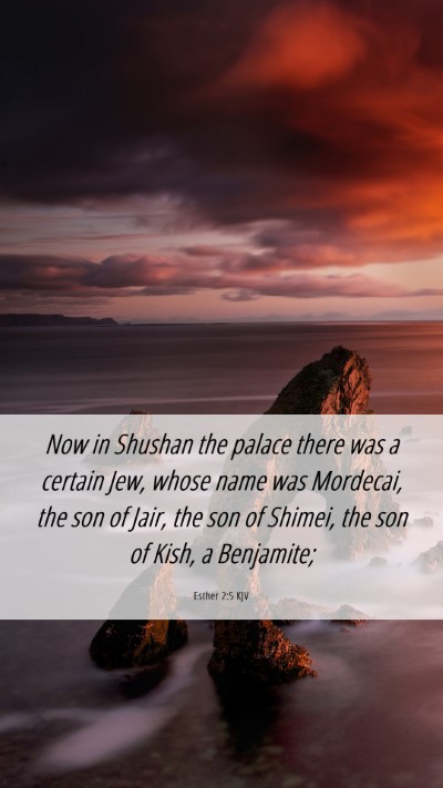 Picture 06 - Esther 2:5 KJV Mobile Phone Wallpaper - Now in Shushan the palace there was a certain - Mobile Bible Verse Wallpaper