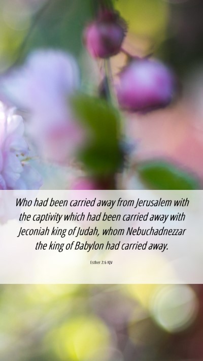 Picture 06 - Esther 2:6 KJV Mobile Phone Wallpaper - Who had been carried away from Jerusalem with the - Mobile Bible Verse Wallpaper