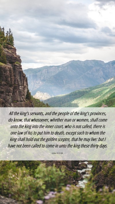 Picture 06 - Esther 4:11 KJV Mobile Phone Wallpaper - All the king's servants, and the people of the - Mobile Bible Verse Wallpaper