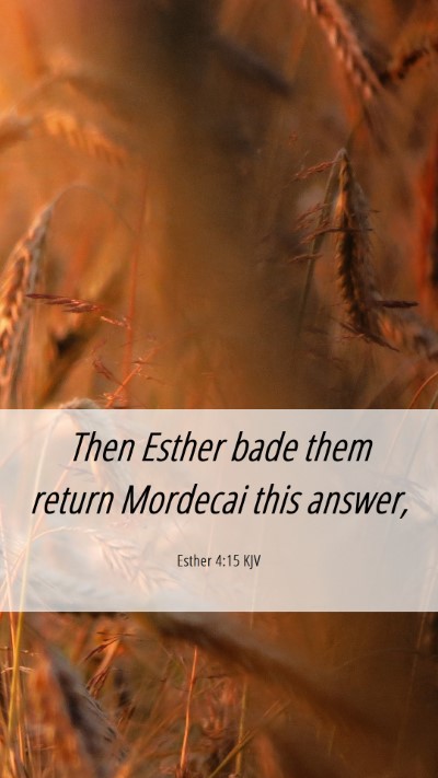 Picture 06 - Esther 4:15 KJV Mobile Phone Wallpaper - Then Esther bade them return Mordecai this - Mobile Bible Verse Wallpaper