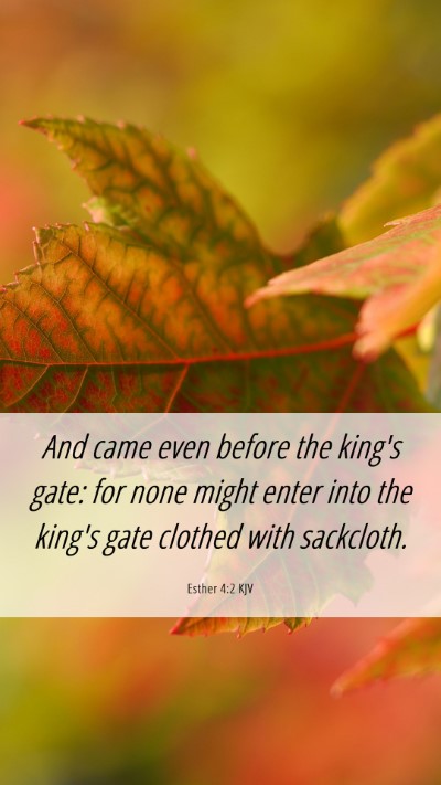 Picture 06 - Esther 4:2 KJV Mobile Phone Wallpaper - And came even before the king's gate: for none - Mobile Bible Verse Wallpaper