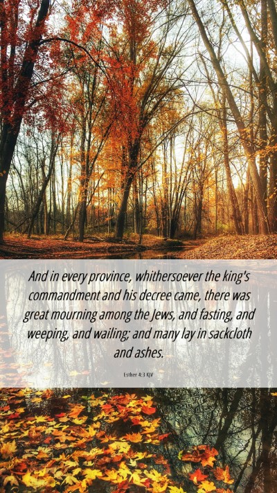 Picture 06 - Esther 4:3 KJV Mobile Phone Wallpaper - And in every province, whithersoever the king's - Mobile Bible Verse Wallpaper