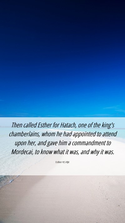 Picture 06 - Esther 4:5 KJV Mobile Phone Wallpaper - Then called Esther for Hatach, one of the king's - Mobile Bible Verse Wallpaper