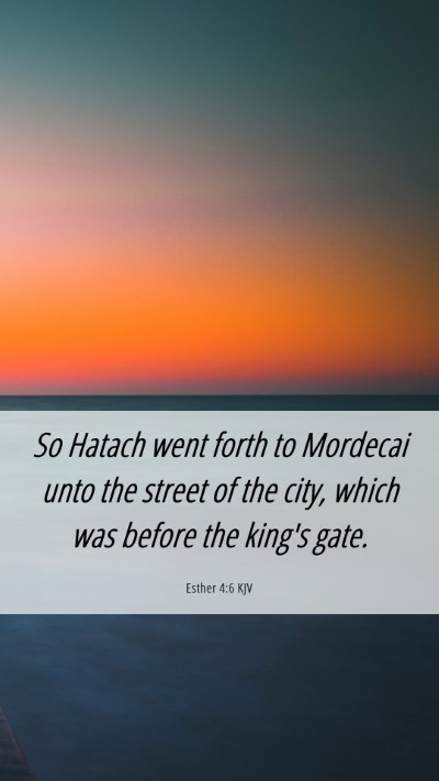 Picture 06 - Esther 4:6 KJV Mobile Phone Wallpaper - So Hatach went forth to Mordecai unto the street - Mobile Bible Verse Wallpaper