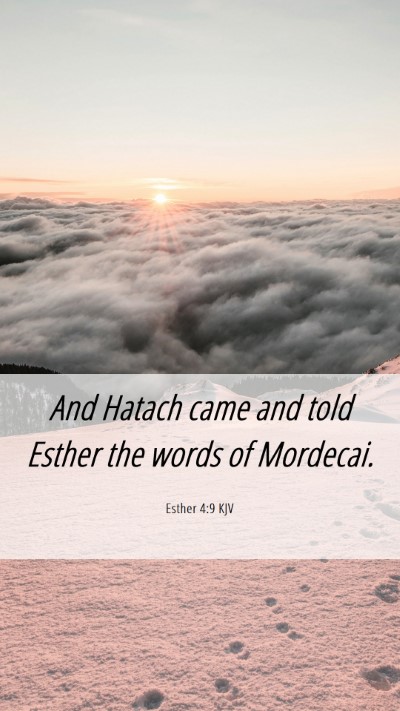 Picture 06 - Esther 4:9 KJV Mobile Phone Wallpaper - And Hatach came and told Esther the words of - Mobile Bible Verse Wallpaper