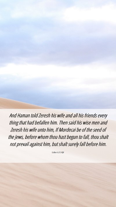 Picture 06 - Esther 6:13 KJV Mobile Phone Wallpaper - And Haman told Zeresh his wife and all his - Mobile Bible Verse Wallpaper