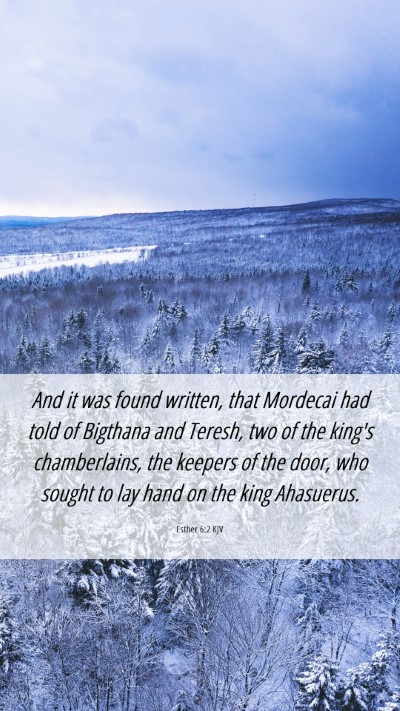 Picture 06 - Esther 6:2 KJV Mobile Phone Wallpaper - And it was found written, that Mordecai had told - Mobile Bible Verse Wallpaper
