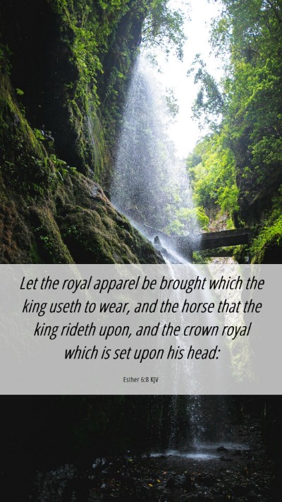 Picture 06 - Esther 6:8 KJV Mobile Phone Wallpaper - Let the royal apparel be brought which the king - Mobile Bible Verse Wallpaper