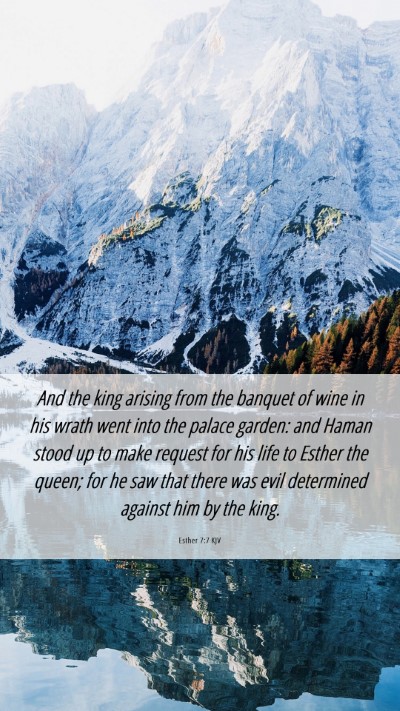 Picture 06 - Esther 7:7 KJV Mobile Phone Wallpaper - And the king arising from the banquet of wine in - Mobile Bible Verse Wallpaper