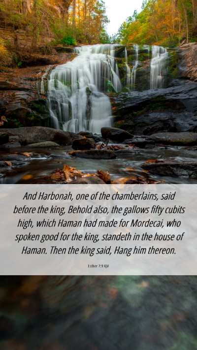 Picture 06 - Esther 7:9 KJV Mobile Phone Wallpaper - And Harbonah, one of the chamberlains, said - Mobile Bible Verse Wallpaper