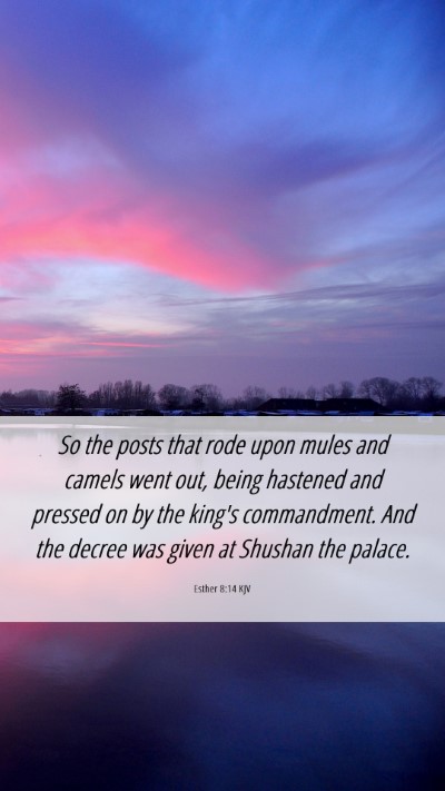 Picture 06 - Esther 8:14 KJV Mobile Phone Wallpaper - So the posts that rode upon mules and camels went - Mobile Bible Verse Wallpaper