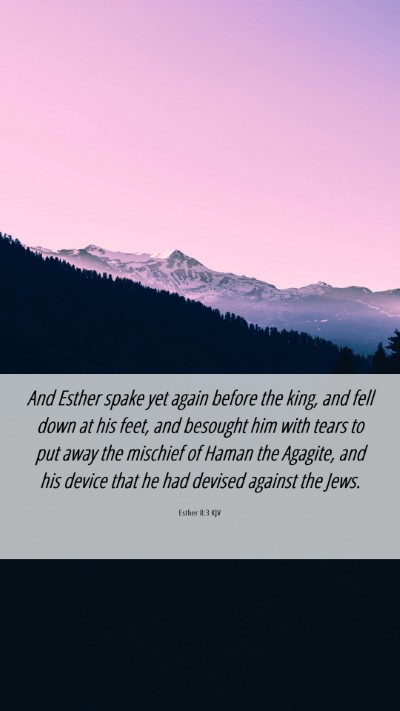Picture 06 - Esther 8:3 KJV Mobile Phone Wallpaper - And Esther spake yet again before the king, and - Mobile Bible Verse Wallpaper