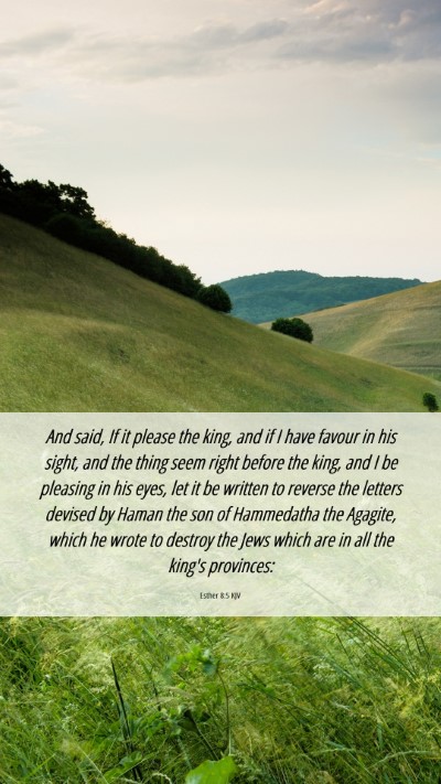 Picture 06 - Esther 8:5 KJV Mobile Phone Wallpaper - And said, If it please the king, and if I have - Mobile Bible Verse Wallpaper