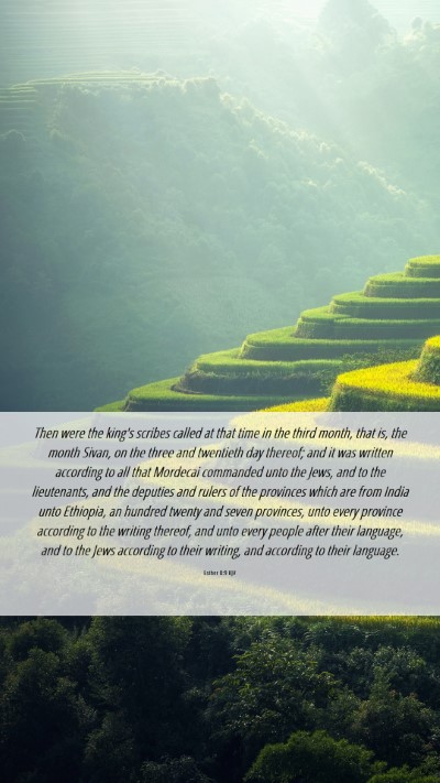 Picture 06 - Esther 8:9 KJV Mobile Phone Wallpaper - Then were the king's scribes called at that time - Mobile Bible Verse Wallpaper