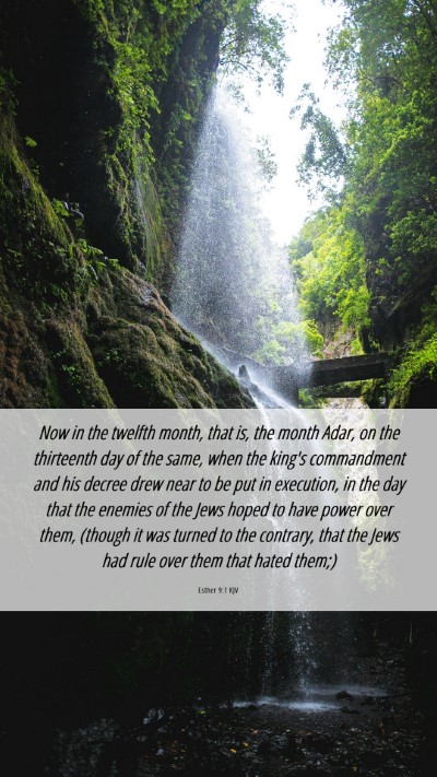 Picture 06 - Esther 9:1 KJV Mobile Phone Wallpaper - Now in the twelfth month, that is, the month - Mobile Bible Verse Wallpaper