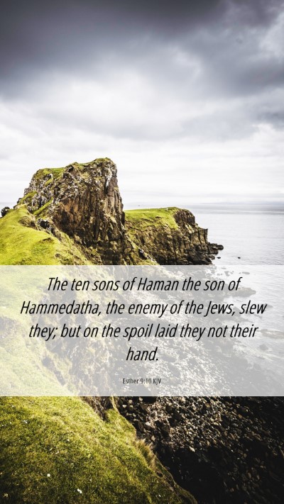 Picture 06 - Esther 9:10 KJV Mobile Phone Wallpaper - The ten sons of Haman the son of Hammedatha, the - Mobile Bible Verse Wallpaper