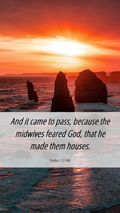 Picture 06 - Exodus 1:21 KJV Mobile Phone Wallpaper - And it came to pass, because the midwives feared - Mobile Bible Verse Wallpaper